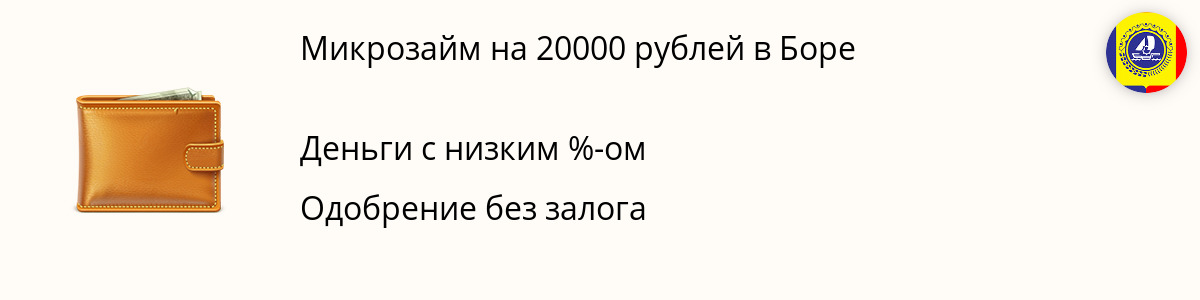 Микрозайм на сумму 20 тысяч руб. в Боре
