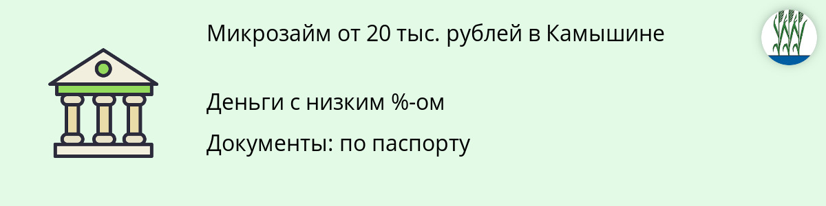 Онлайн-заём в размере 20 тысяч рублей в Камышине