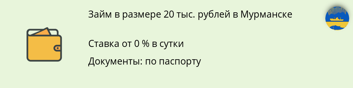 Займ онлайн в размере 20 тыс. руб. в Мурманске